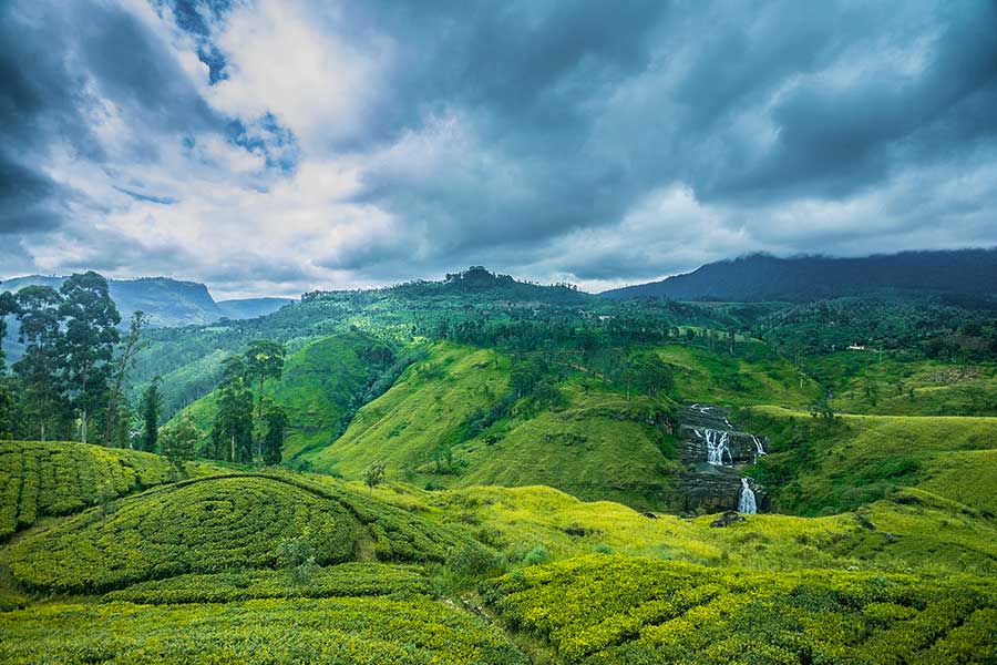 NuwaraEliya District